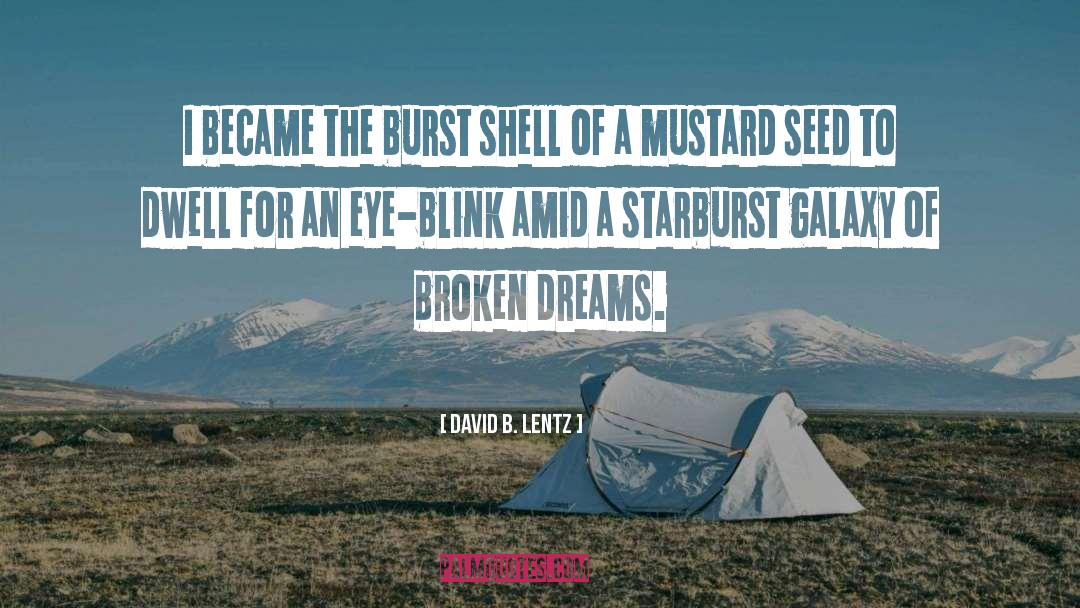 David B. Lentz Quotes: I became the burst shell