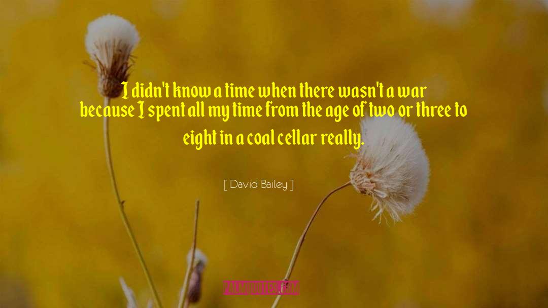 David Bailey Quotes: I didn't know a time