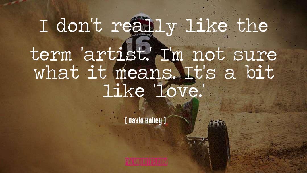 David Bailey Quotes: I don't really like the