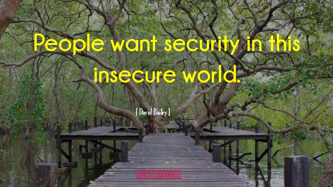 David Bailey Quotes: People want security in this
