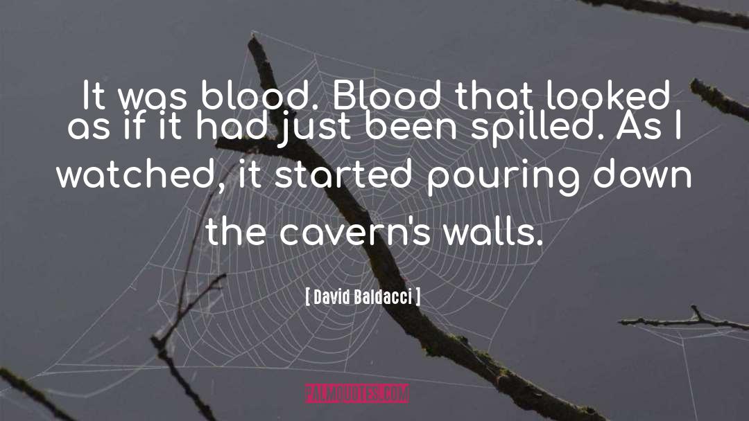 David Baldacci Quotes: It was blood. Blood that
