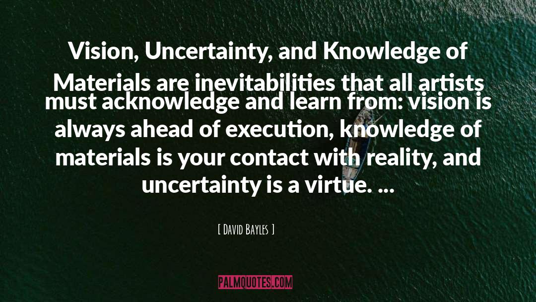 David Bayles Quotes: Vision, Uncertainty, and Knowledge of