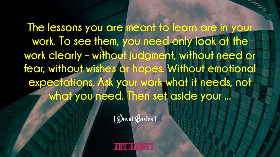 David Bayles Quotes: The lessons you are meant
