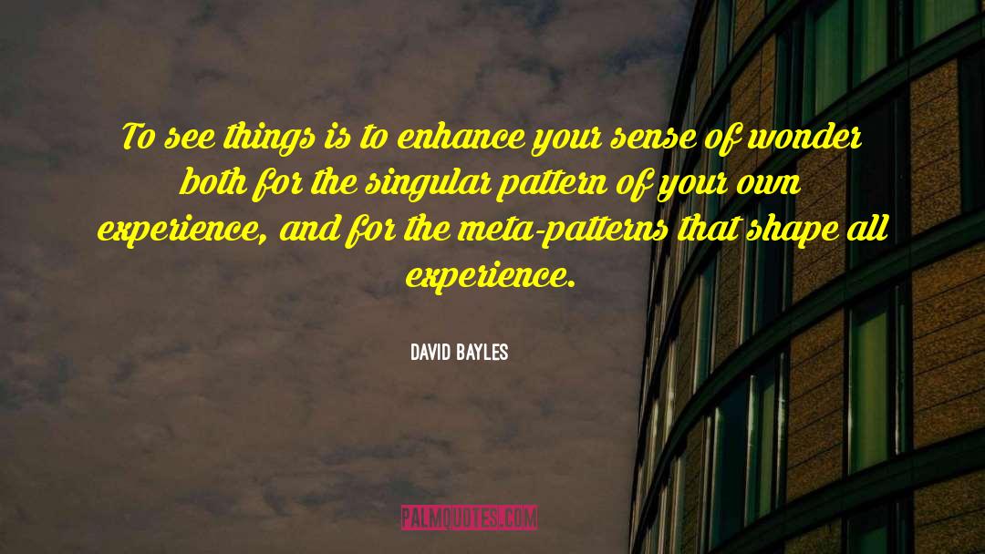 David Bayles Quotes: To see things is to