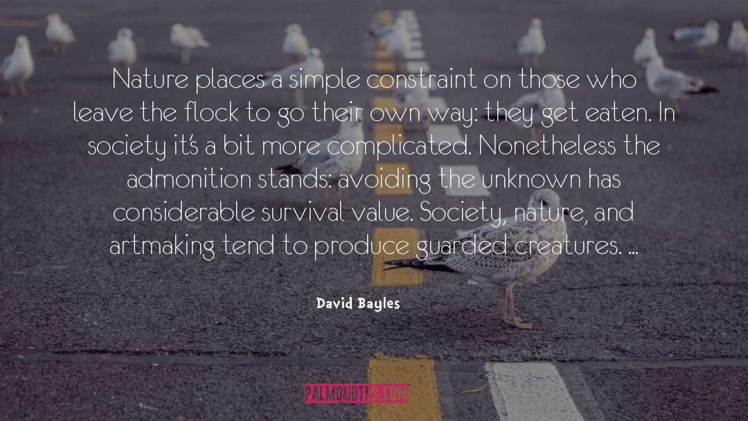 David Bayles Quotes: Nature places a simple constraint