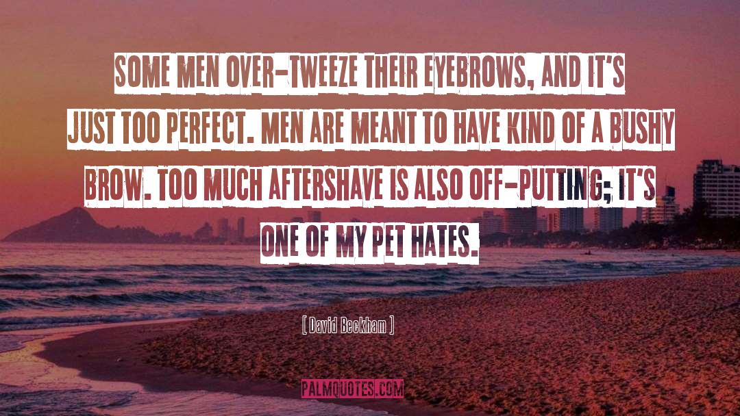 David Beckham Quotes: Some men over-tweeze their eyebrows,