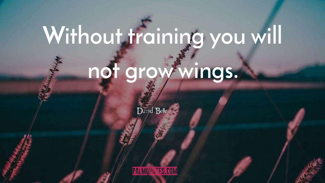 David Belle Quotes: Without training you will not