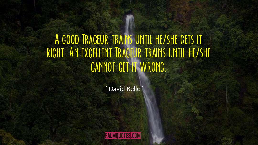 David Belle Quotes: A good Traceur trains until