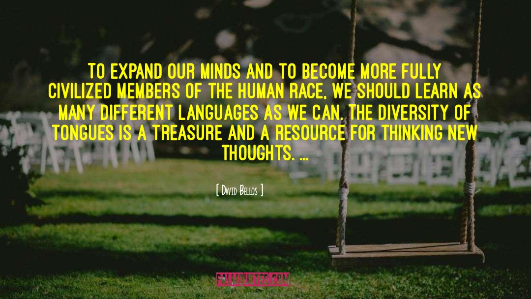 David Bellos Quotes: To expand our minds and