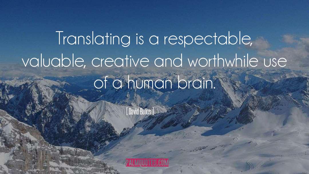 David Bellos Quotes: Translating is a respectable, valuable,