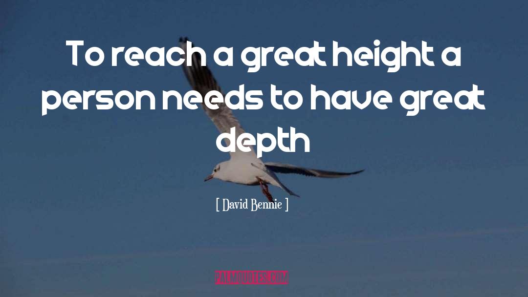 David Bennie Quotes: To reach a great height