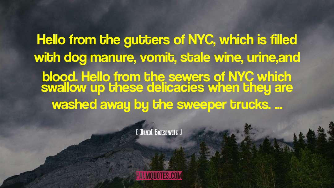 David Berkowitz Quotes: Hello from the gutters of