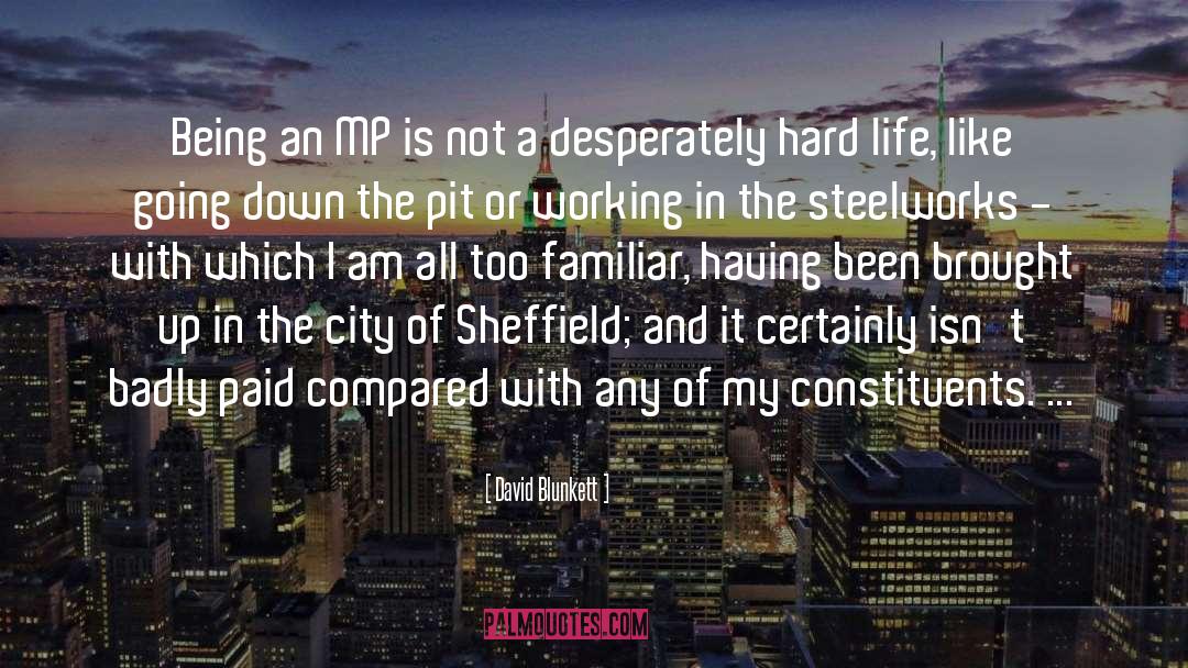 David Blunkett Quotes: Being an MP is not