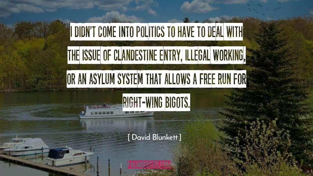 David Blunkett Quotes: I didn't come into politics