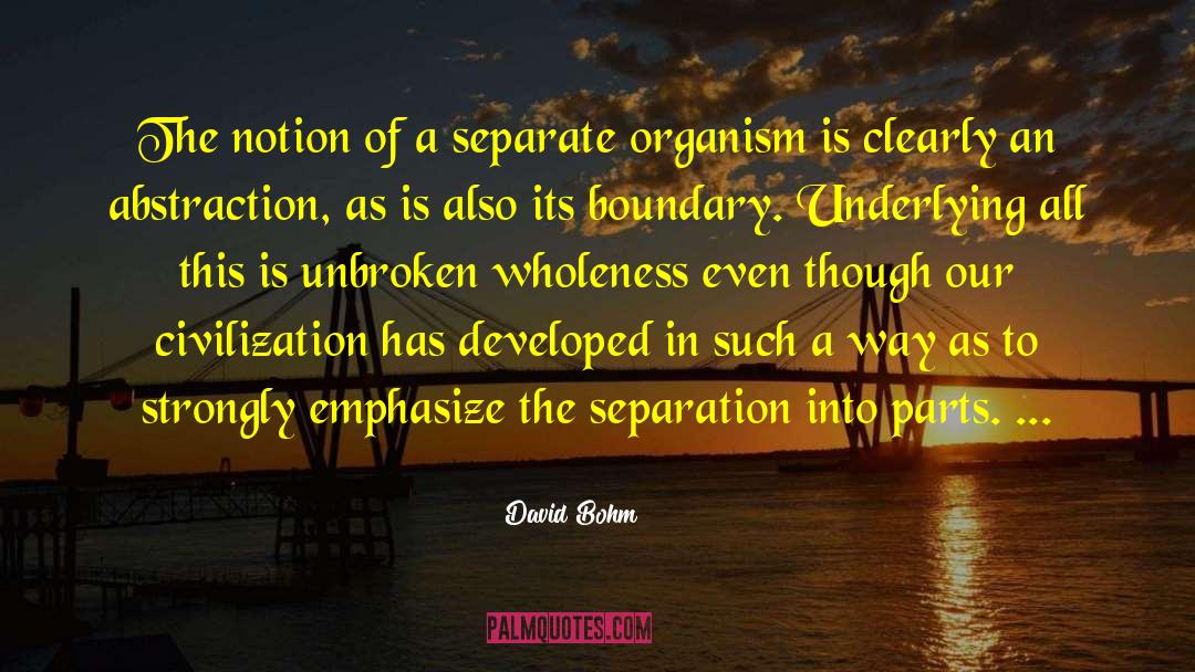 David Bohm Quotes: The notion of a separate