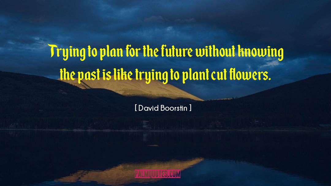 David Boorstin Quotes: Trying to plan for the