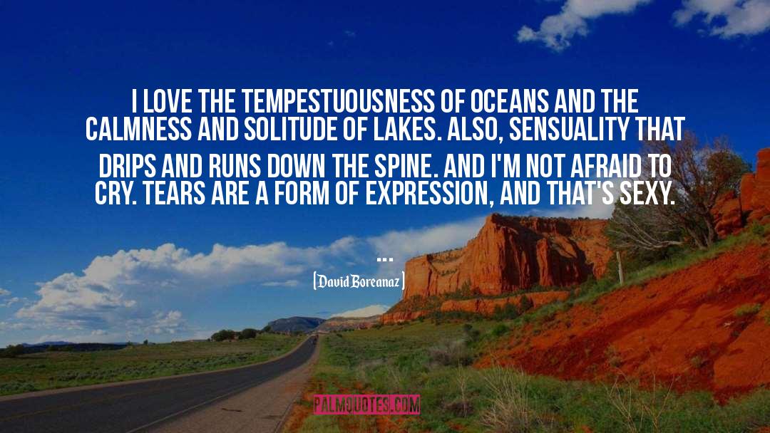 David Boreanaz Quotes: I love the tempestuousness of