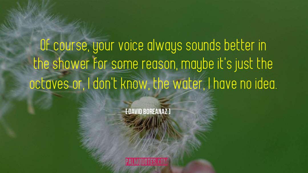 David Boreanaz Quotes: Of course, your voice always