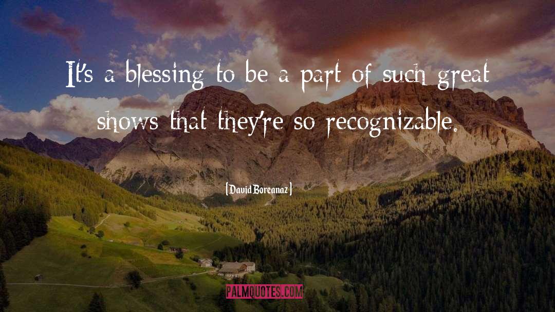 David Boreanaz Quotes: It's a blessing to be