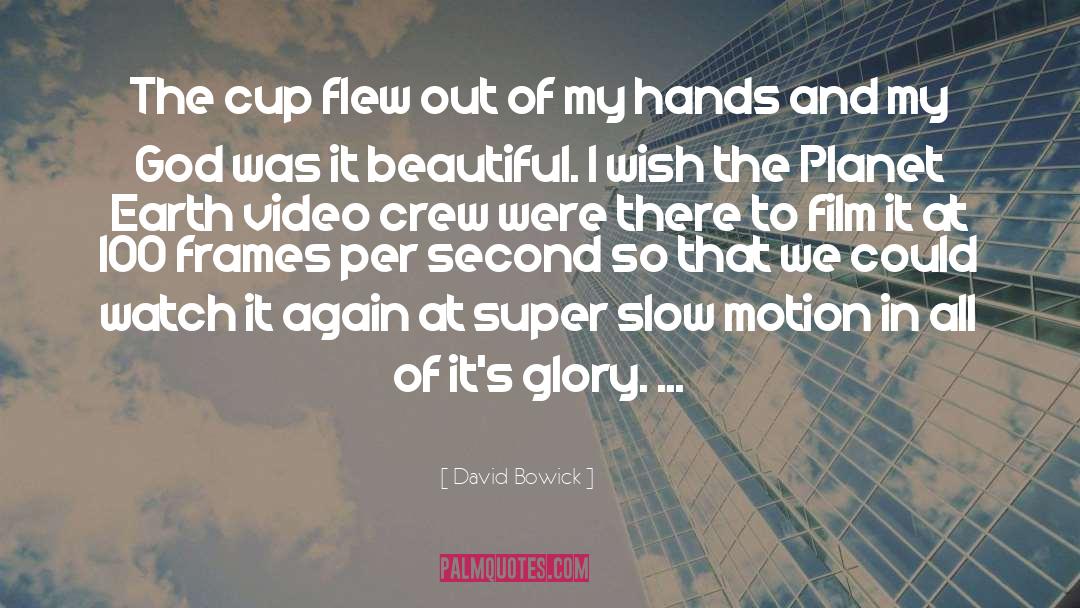 David Bowick Quotes: The cup flew out of