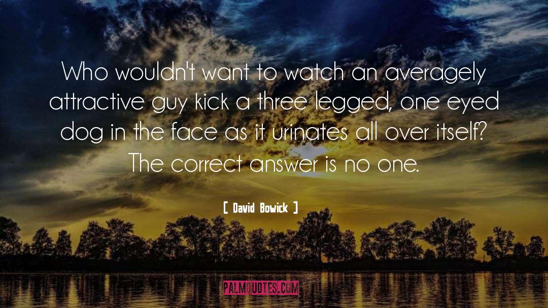 David Bowick Quotes: Who wouldn't want to watch