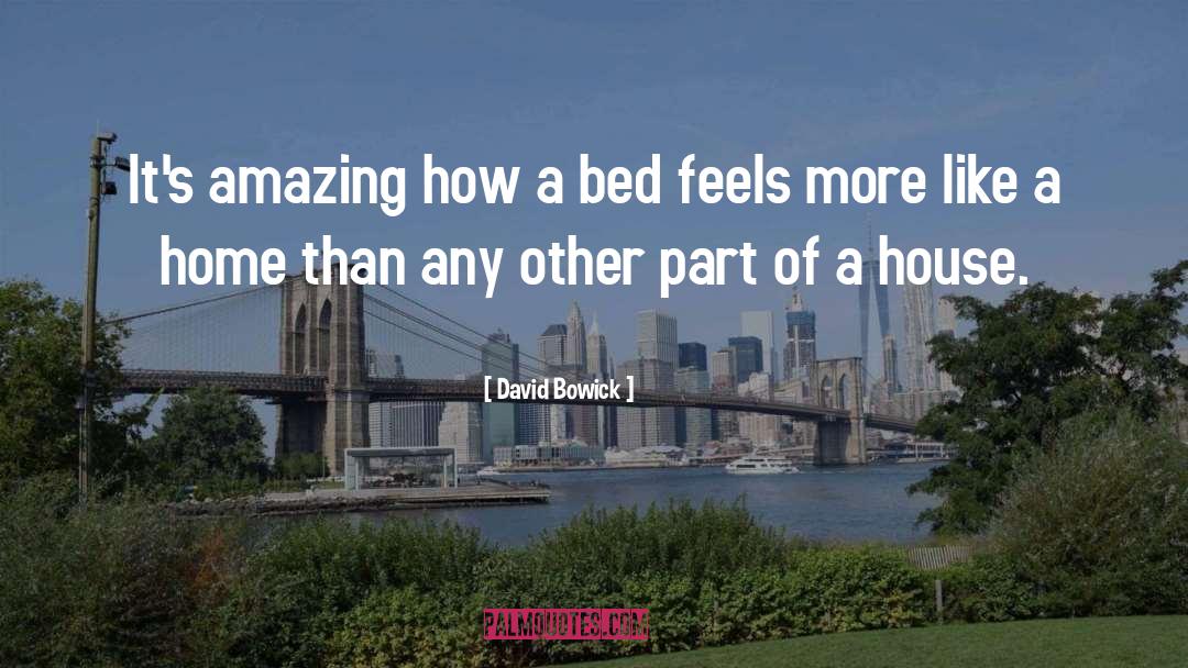 David Bowick Quotes: It's amazing how a bed