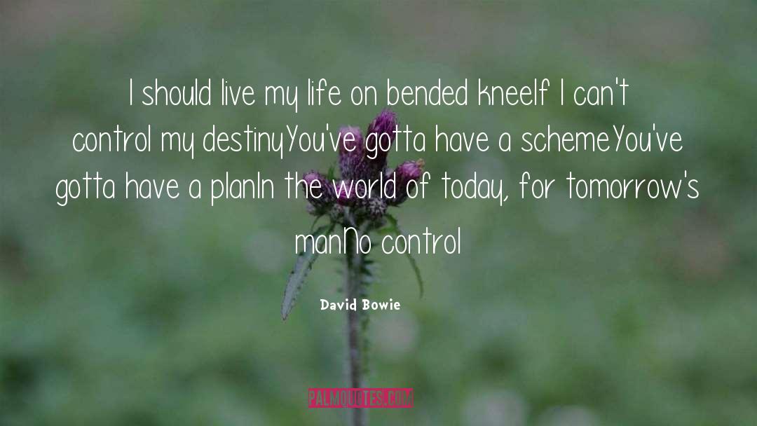 David Bowie Quotes: I should live my life
