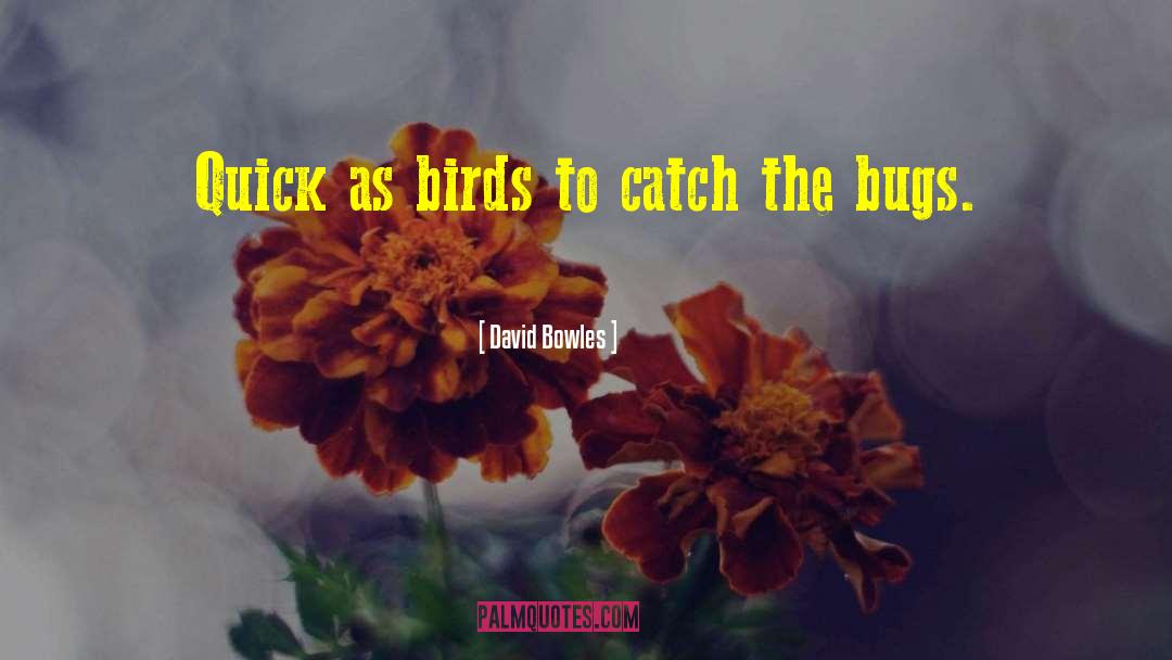 David Bowles Quotes: Quick as birds to catch
