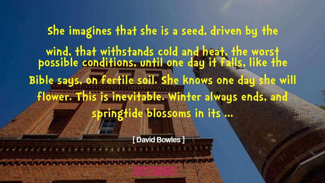 David Bowles Quotes: She imagines that she is