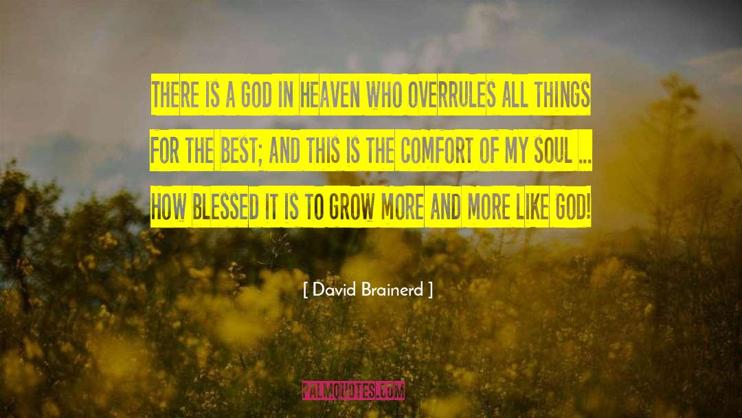 David Brainerd Quotes: There is a God in