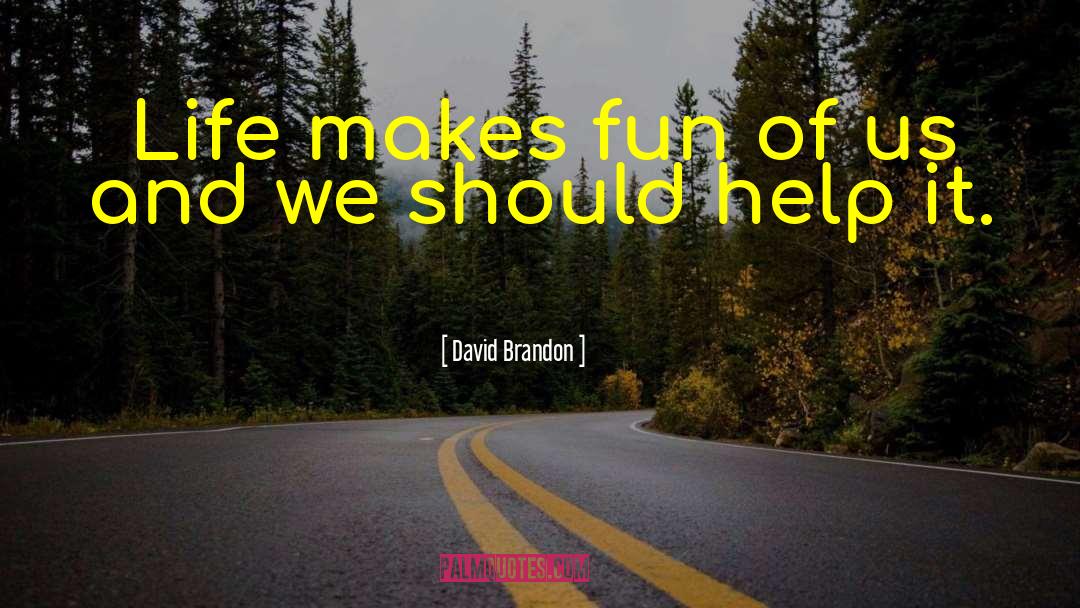 David Brandon Quotes: Life makes fun of us