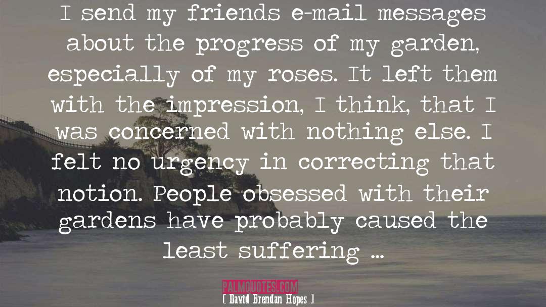 David Brendan Hopes Quotes: I send my friends e-mail