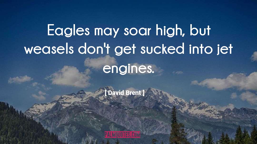 David Brent Quotes: Eagles may soar high, but