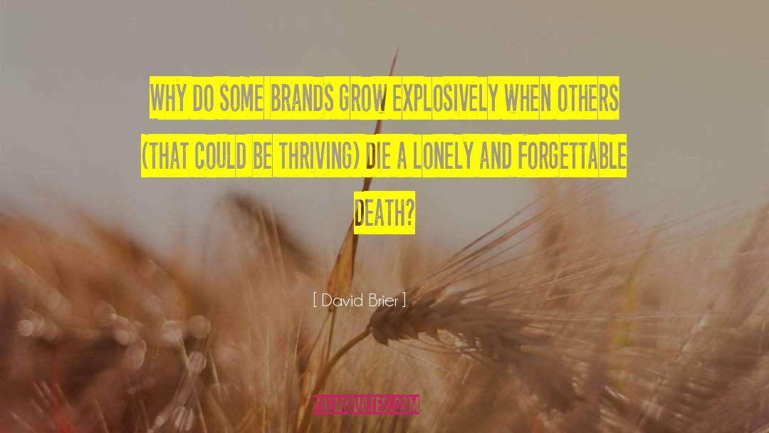 David Brier Quotes: Why do some brands grow