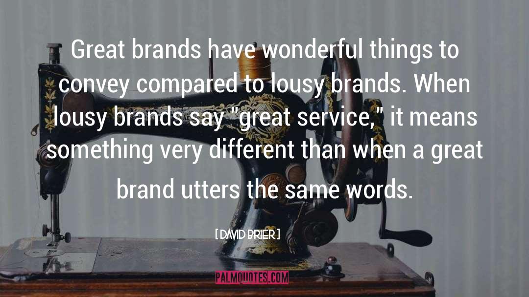 David Brier Quotes: Great brands have wonderful things