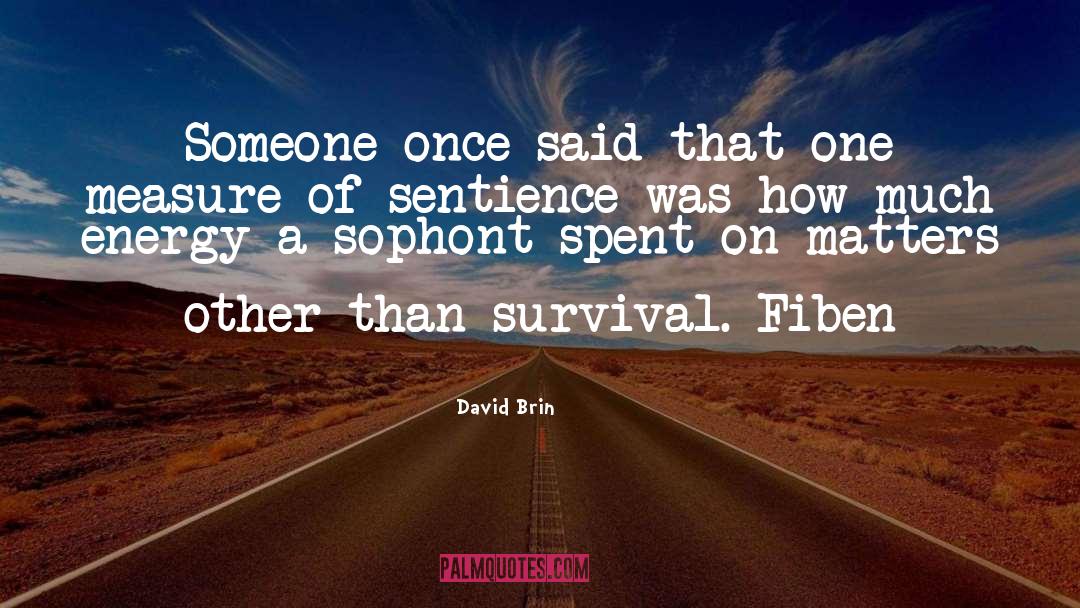 David Brin Quotes: Someone once said that one
