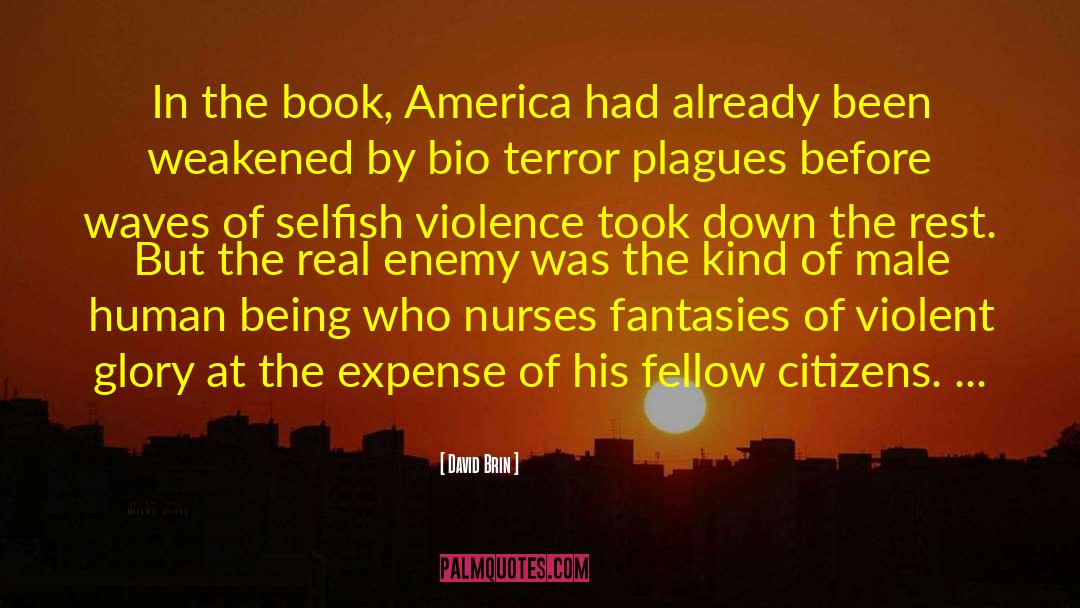 David Brin Quotes: In the book, America had