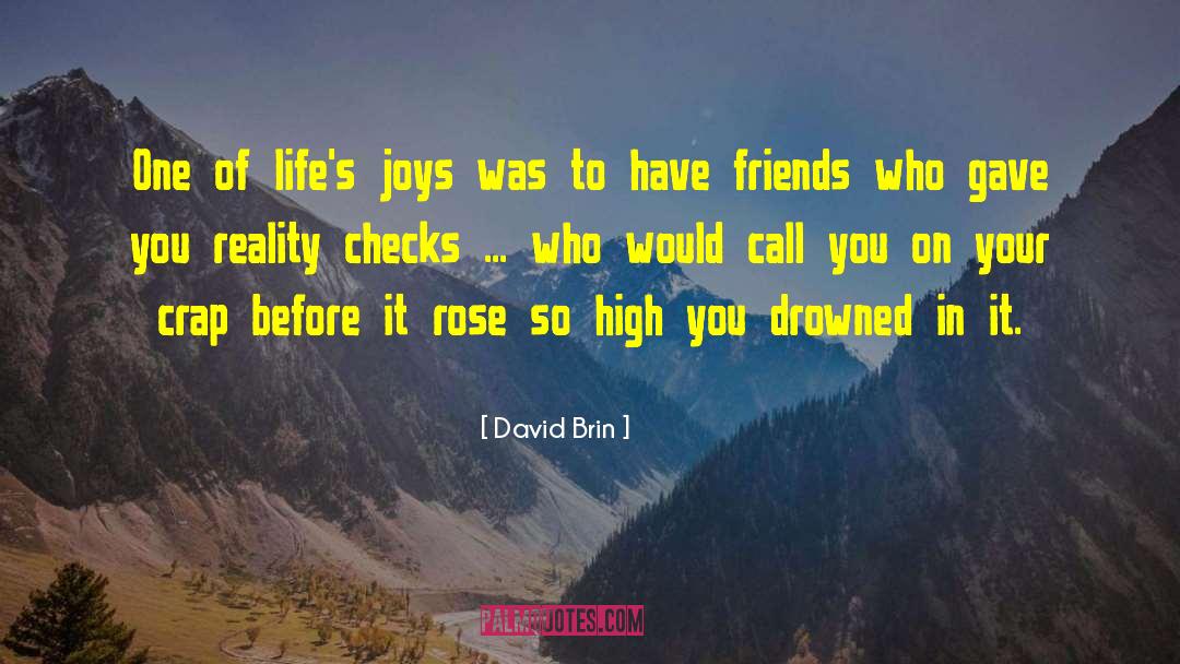 David Brin Quotes: One of life's joys was