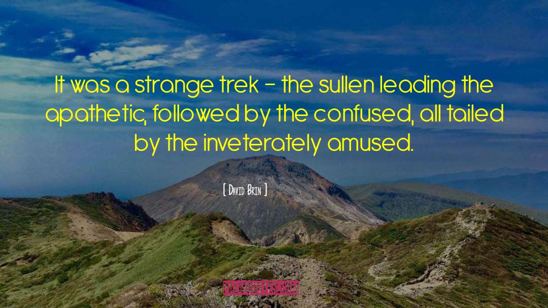 David Brin Quotes: It was a strange trek