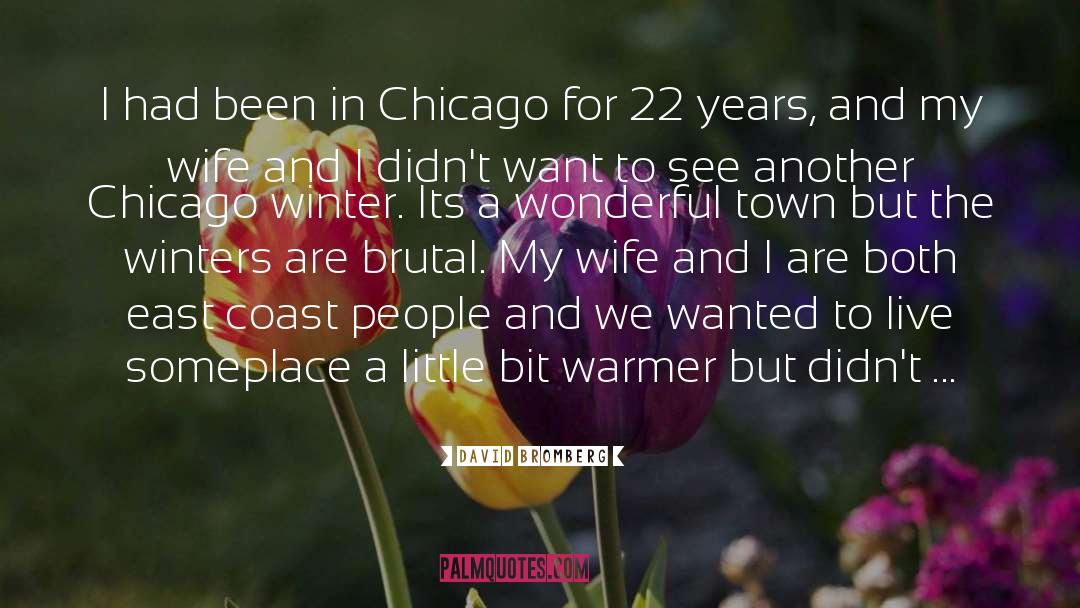 David Bromberg Quotes: I had been in Chicago