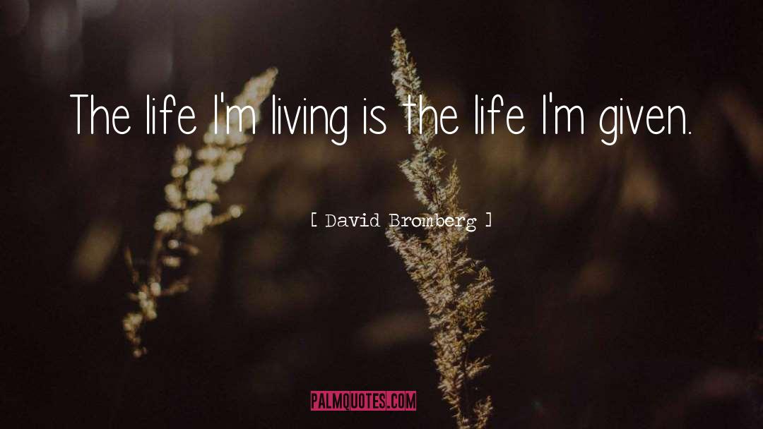 David Bromberg Quotes: The life I'm living<br> is