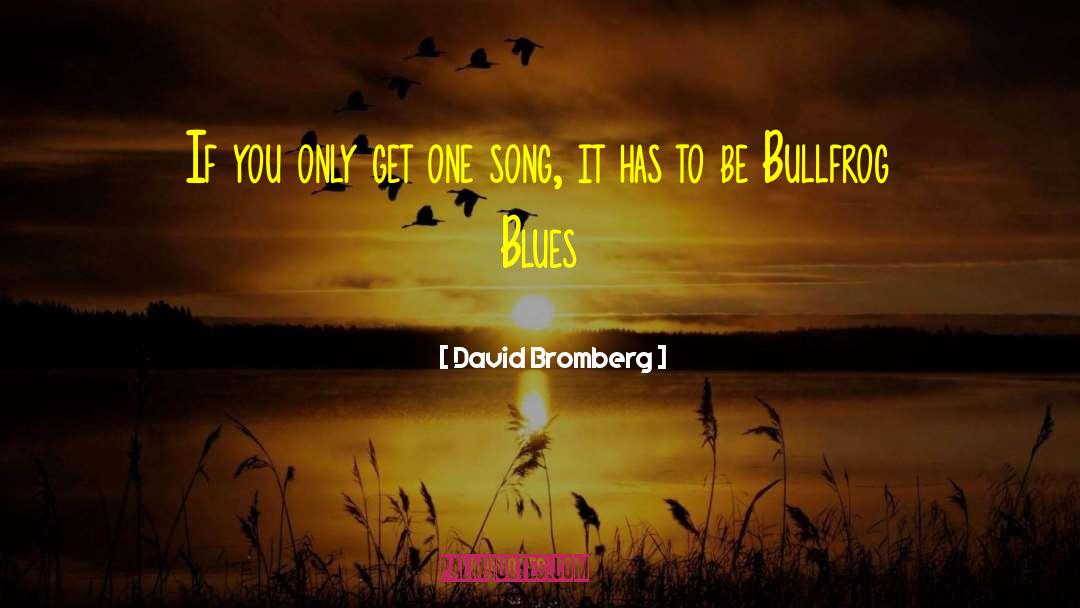 David Bromberg Quotes: If you only get one