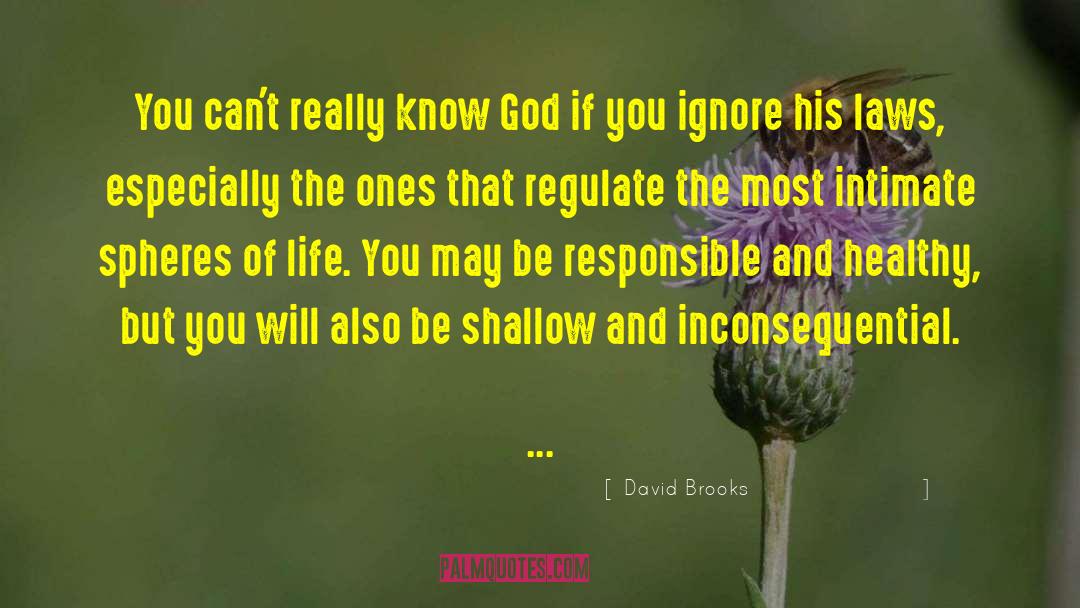 David Brooks Quotes: You can't really know God