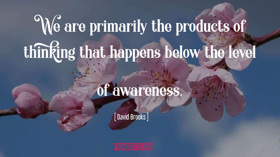 David Brooks Quotes: We are primarily the products