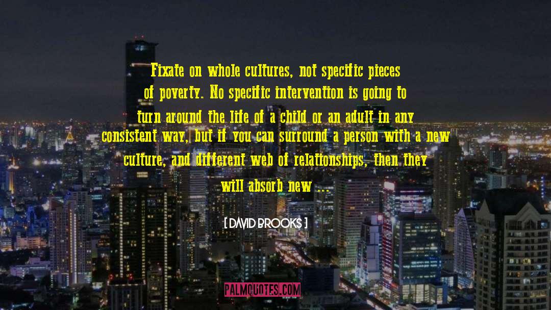 David Brooks Quotes: Fixate on whole cultures, not