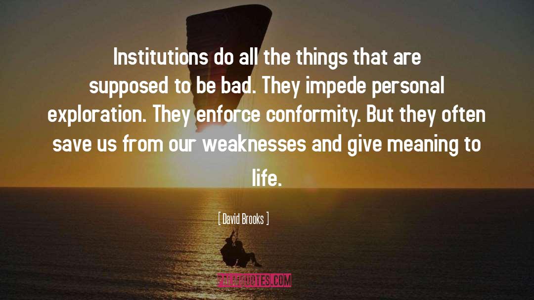 David Brooks Quotes: Institutions do all the things