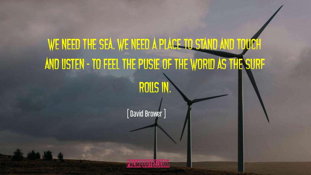 David Brower Quotes: We need the sea. We