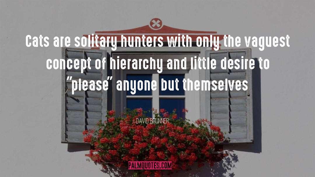 David Brunner Quotes: Cats are solitary hunters with
