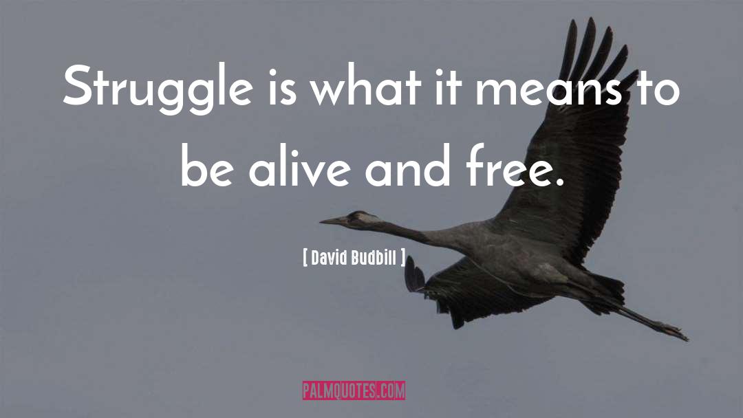 David Budbill Quotes: Struggle is what it means