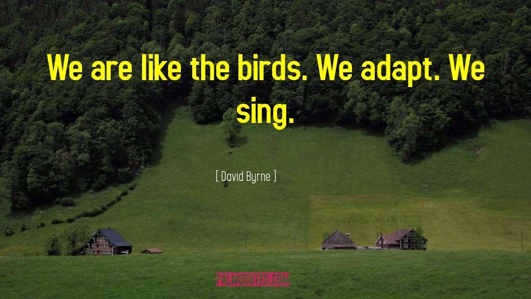 David Byrne Quotes: We are like the birds.